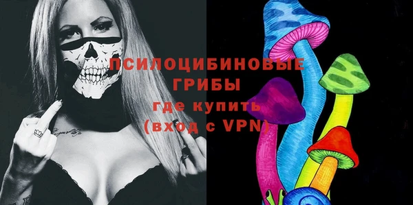 ПСИЛОЦИБИНОВЫЕ ГРИБЫ Балахна
