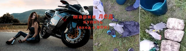 ПСИЛОЦИБИНОВЫЕ ГРИБЫ Балахна