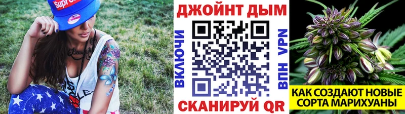 мориарти клад  гидра ссылки  Губаха  как найти   Бошки марихуана White Widow 